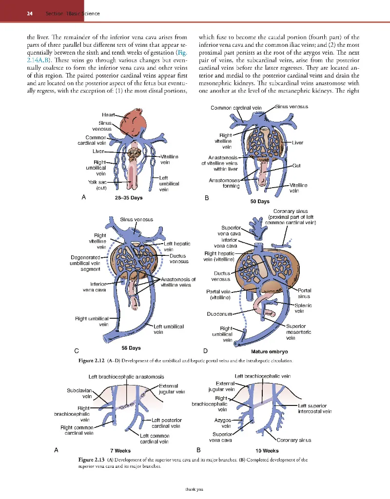 Rutherford's Vascular Surgery and Endovascular Therapy, 10th - Anton N Sidawy; Bruce A Perler; Robert B Rutherford -2022_Page65.webp