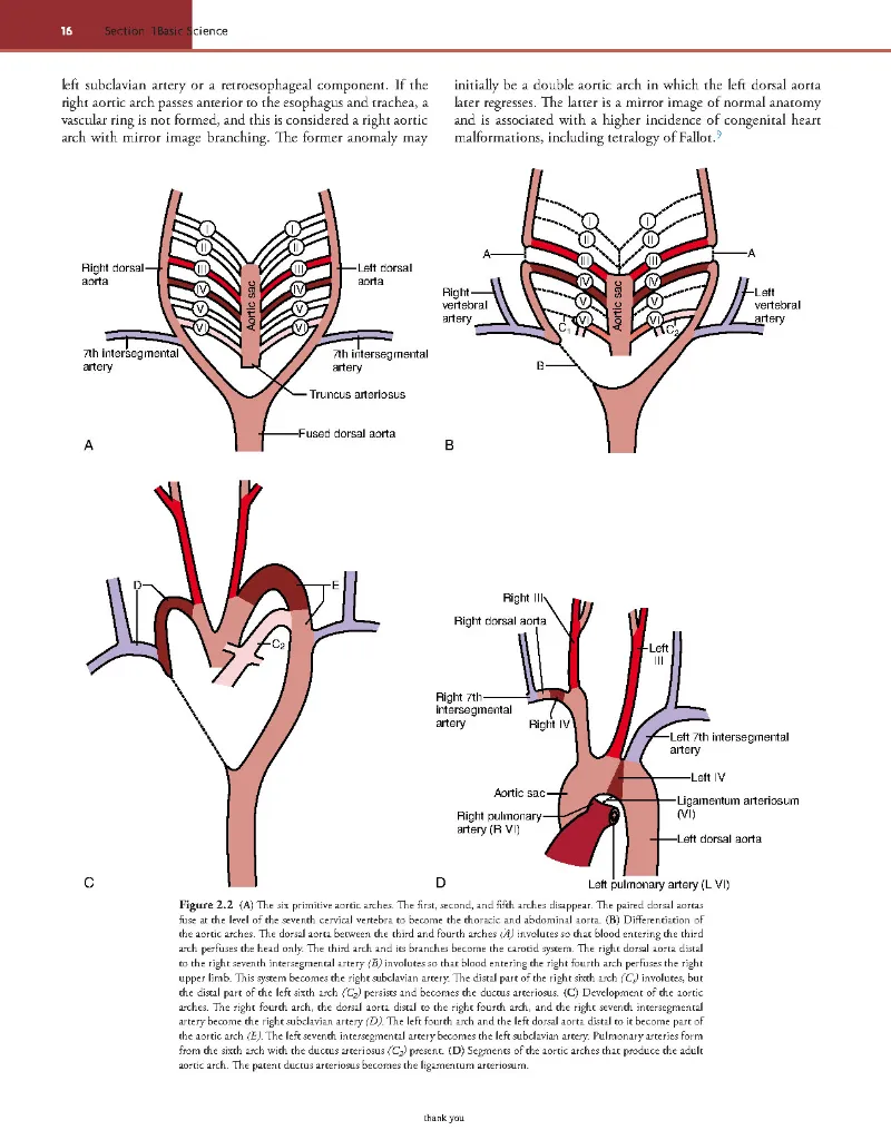 Rutherford's Vascular Surgery and Endovascular Therapy, 10th - Anton N Sidawy; Bruce A Perler; Robert B Rutherford -2022_Page57.webp
