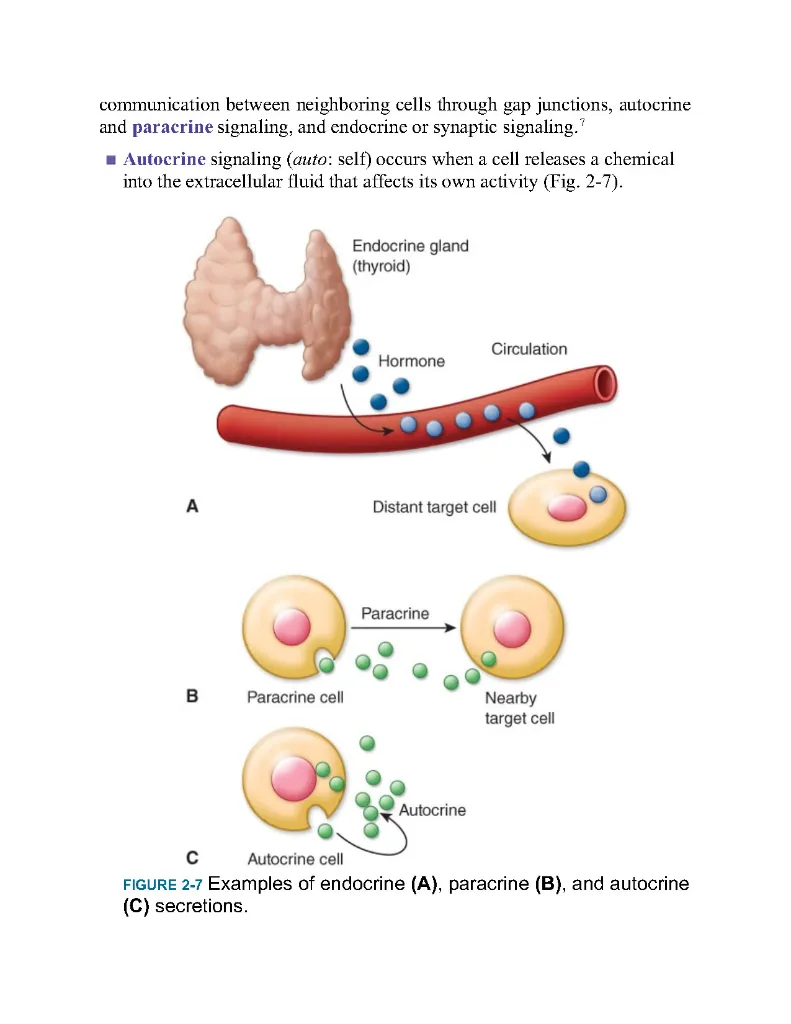 Porth's essentials of pathophysiology - concepts of altered - Carol Porth; Tommie L Norris; Rupa Lalchandani Tuan - 5th, 2019_Page90.webp