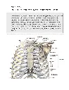 Grant's Atlas of Anatomy, 12th Edition_Page48.webp