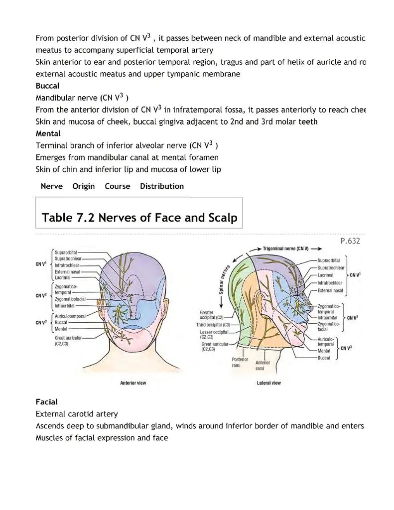Grant's Atlas of Anatomy, 12th Edition_Page1241.webp
